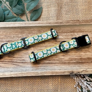3/4&quot; Daisy Medium Dog Collar