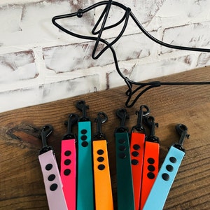 Waterproof Biothane Dog Leash