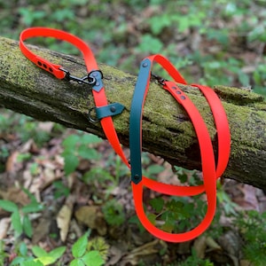 Hands Free Waterproof Leash ~ Multiple Colors