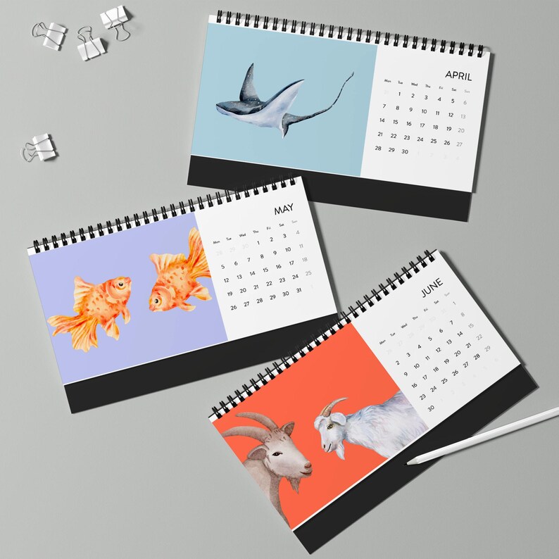 Funny Animal Desk Calendar 2025,funny Desk Calendar,cute Desk Calendar