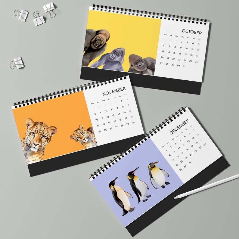 Funny Animal Desk Calendar 2025,funny Desk Calendar,cute Desk Calendar
