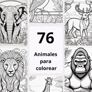 Animal coloring sheets