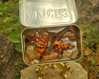 Couple of Freaks- Miniature Resin Koi Fish Pond in Mint Tin