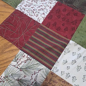 Pu&ograve; includere: Una trapunta patchwork a tema natalizio. I quadrati presentano motivi di aghi di pino, bacche, alberi e strisce nei toni del rosso, verde, marrone e bianco. La trapunta &egrave; probabilmente fatta a mano e adatta per le decorazioni stagionali.
