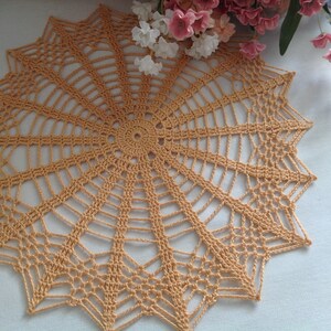 May include: A handmade, peach-colored crochet doily with a starburst design. The doily features a central circular pattern that radiates outward into a web-like design, ending in a scalloped edge. Decorative floral arrangement in the background.