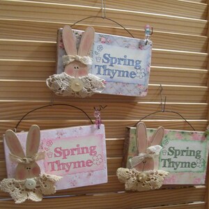 Sissy Bunny Welcomes Spring Thyme