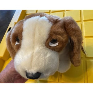 May include: A plush dog head with brown and white fur, featuring floppy ears and a black nose. The stuffed animal has a soft, cuddly appearance, perfect for children or collectors. The dog's eyes are slightly droopy, giving it a gentle expression.