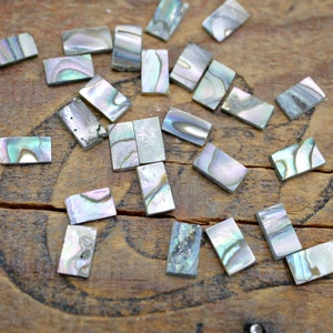 May include: A collection of iridescent, rectangular abalone shell pieces. The pieces are various sizes and shapes, and have a pearly, opalescent sheen.