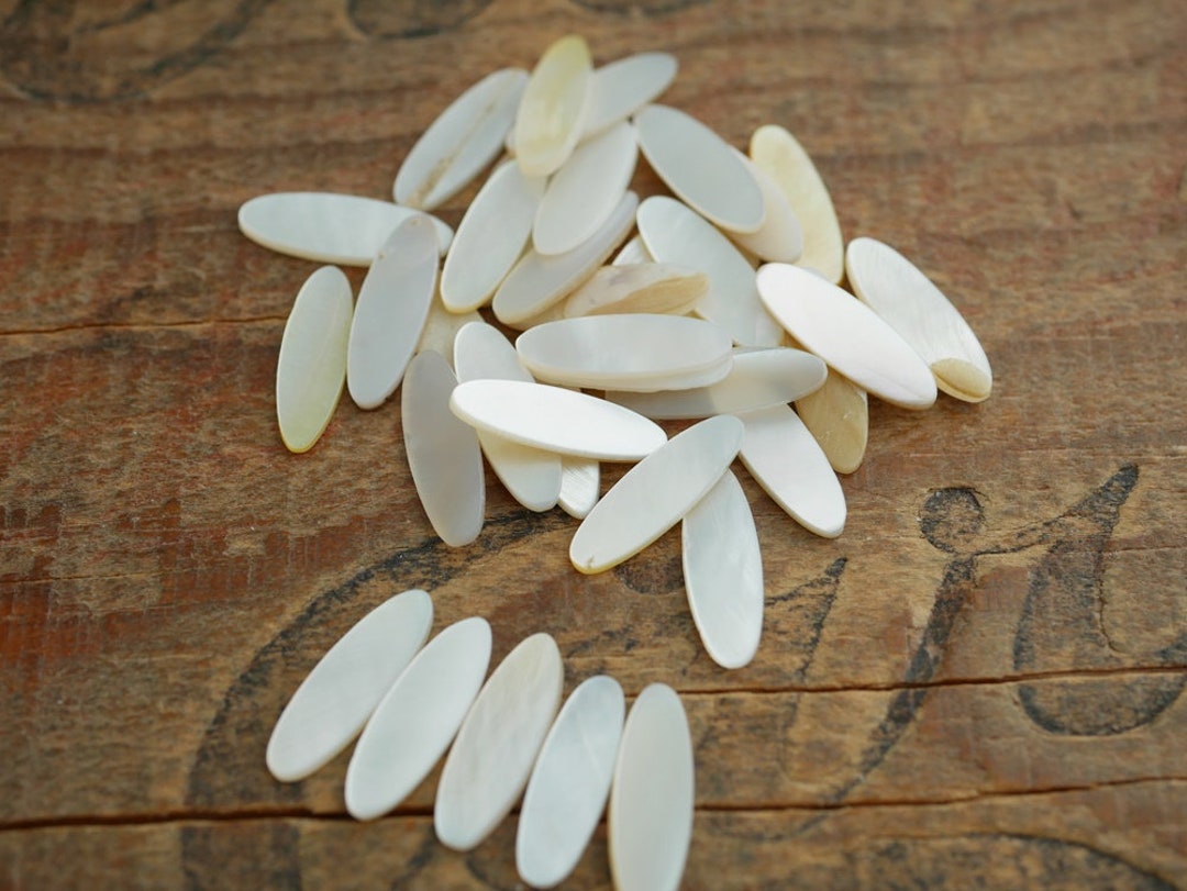 Button Blanks Shell Vintage Mother of Pearl Long Oval Flat Back Shell Blank Button Blanks ...