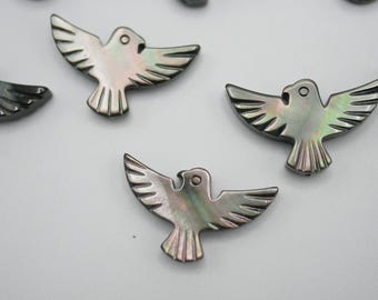 Zwarte regenboogschelp gesneden vogelkralen (2 stuks)