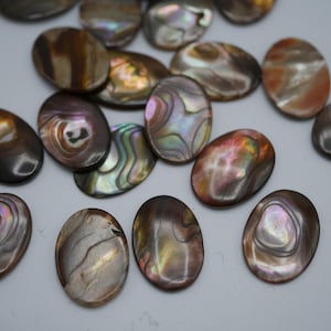 Light Brown Abalone Shell Cabochon 18x13mm No Hole (6 pcs) HP61