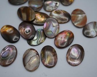 Lichtbruine abalone cabochon 18 x 13 mm zonder gat (6 stuks) HP61