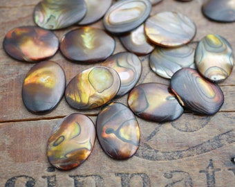 Brown Abalone Shell Cabochon 18x13mm Oval Shell Tawny Brown Color Shell (6) MA11