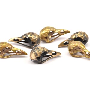 May include: Six small, gold-colored bird skulls with black accents. The skulls are hollow and have a detailed, realistic design.