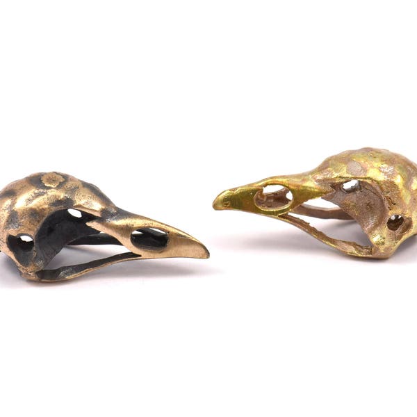 Kleiner Vogelschädel, 2 massive Bronze und Oxidierte Bronze Vogelschädel Anhänger (25x12x11mm) N0343