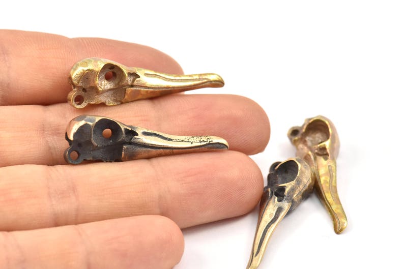 Op de afbeelding: Close-up van verschillende messing vogel schedel hangers. De schedels hebben gedetailleerde kenmerken, waaronder oogkassen en snavels. De hangers bevinden zich in verschillende stadia van oxidatie, waarbij sommige donkerder lijken. De achtergrond is wit.