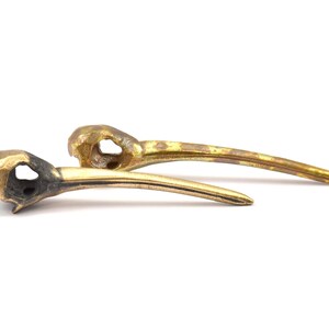 Pendentif tête de mort en bronze, 2 pendentifs tête de mort d&#39;oiseau en bronze massif et bronze oxydé (52 x 10 mm) N0342
