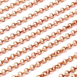 Könnte beinhalten: Nahaufnahme einer langen Kette aus Roségold. Die Kette besteht aus kleinen, runden Gliedern.