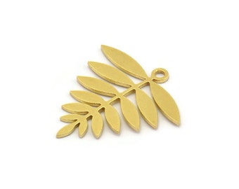 Brass Leaf Charm, 12 Raw Brass Acacia Leaf Charms With 1 Loop, Findings (21x20x0.60mm) A4353