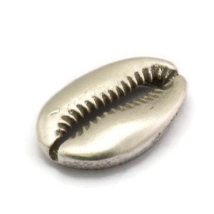 May include: A silver cowrie shell, a type of seashell often used in jewellery and crafts.