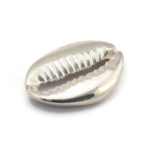 May include: A silver cowrie shell charm, a traditional symbol of good luck and prosperity.
