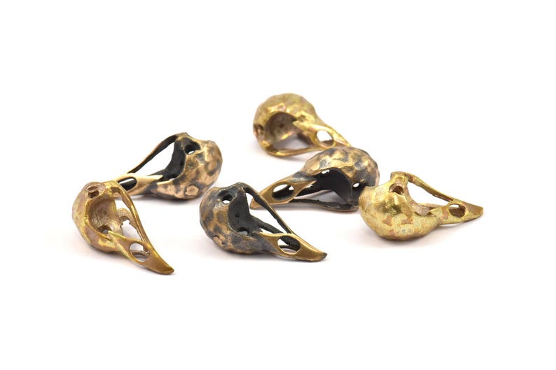 May include: Six small, detailed, brass bird skull charms. The charms are in various shades of gold and black, with some having a more aged look.