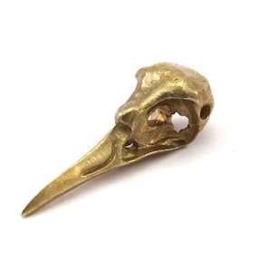 Bird Skull Charm, Raw Brass Bird Skull Necklace Pendants, (32x11x10mm) N0492