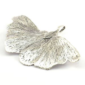 Silver Gingko Leaf, 1 Silver Tone Plated Real Gingko Leaf with 1 Loop, Pendants, Findings X025