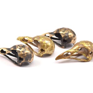 May include: Four small, detailed bird skull sculptures made of brass. The skulls are in various poses and have a distressed, antique finish.