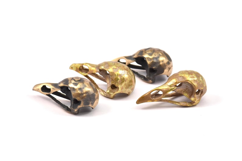 May include: Four small, detailed bird skull sculptures made of brass. The skulls are in various poses and have a distressed, antique finish.