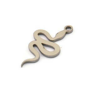 May include: A silver snake charm with a loop for attaching to a necklace or bracelet.