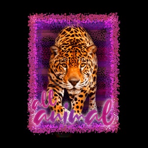 All Animal PNG