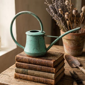 Handmade Vintage Copper Long Spout Watering Can, Green Patina Solid Copper Watering Can Indoor Garden Pot