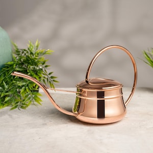 May include: A copper-colored watering can with a long, slender spout and a curved handle. The can has a rounded base and a lid. The watering can is made of shiny metal and is designed for indoor or outdoor plant care.
