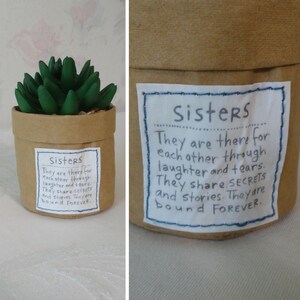May include: A small, brown paper pot with a green succulent plant. The pot has a white label with the word "Sisters" and a handwritten message about sisterhood. The pot is on a white surface.
