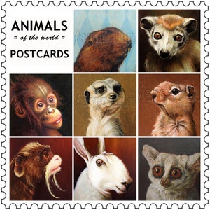 May include: A vintage postcard set featuring nine different animal portraits. The postcards are arranged in a 3x3 grid and feature a variety of animals, including a monkey, a lemur, a meerkat, a squirrel, a rabbit, and a sloth. The postcards are all in a similar style, with a simple background and a close-up portrait of the animal. The text "ANIMALS = of the world = POSTCARDS" is printed at the top of the postcard set.