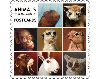 Postcard 6-pack Animals of the World