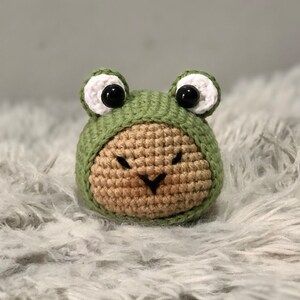Kapibara w żabiej czapce/bluza z kapturem na szydełku amigurumi, bluza na szydełku, żaba na szydełku, kapibara na szydełku, kapelusz na szydełku, cappybara PDF WZÓR SZYDEŁKA