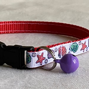 Collar para gatos o gatitos con conchas brillantes, collar desmontable: gata, gato, perro pequeño