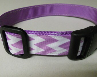 May include: Purple and white chevron patterned dog collar with a black plastic buckle.