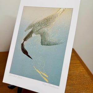 ZWEI Roy Tomlinson Kunst Karten, "Jewelled Spirit" Loon Wildtiere Druck, Kanadische Natur Szene, Sammel Grußkarte, Umschläge, innen blanko