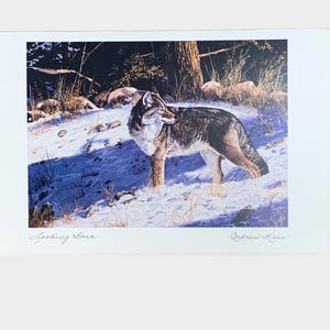 Carte d'art canadien « Looking Back » par Andrew Kiss - Carte d'art canadien unique - Carte de nature sauvage, avec enveloppe, signée et vierge à l'intérieur