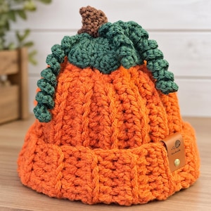 May include: A bright orange crocheted beanie featuring a ribbed texture, topped with a dark green crocheted vine and a brown stem. A small tan leather tag with a gold metal rivet and a yarn ball icon is attached to the folded brim.