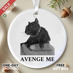 Avenge Me | Peanut the Squirrel Memorial Gift | Hanging Ornament | Pet Memorial | Unique Ornament Sets | Thoughtful Gifts for Pet Lovers