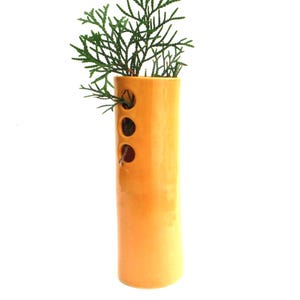 May include: A cylindrical, orange ceramic vase with three circular cutouts. The vase holds green leafy sprigs. The vase is a decorative item, suitable for displaying flowers or greenery. The vase is set against a white background.