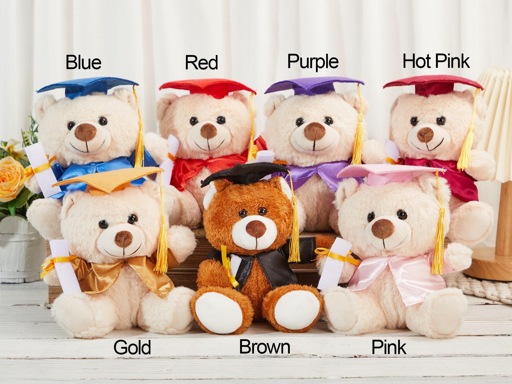 Custom Graduation Bear, Graduation 2025, Graduation Gifts, Graduation Keepsake, Gifts for Grads, Preschool Graduation, Grad Bear, Pre-k Grad