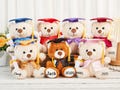 Custom Graduation Bear, Graduation 2025, Graduation Gifts, Graduation Keepsake, Gifts for Grads, Preschool Graduation, Grad Bear, Pre-k Grad product logo