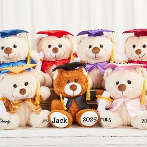 Custom Graduation Bear, Graduation 2025, Graduation Gifts, Graduation Keepsake, Gifts for Grads, Preschool Graduation, Grad Bear, Pre-k Grad