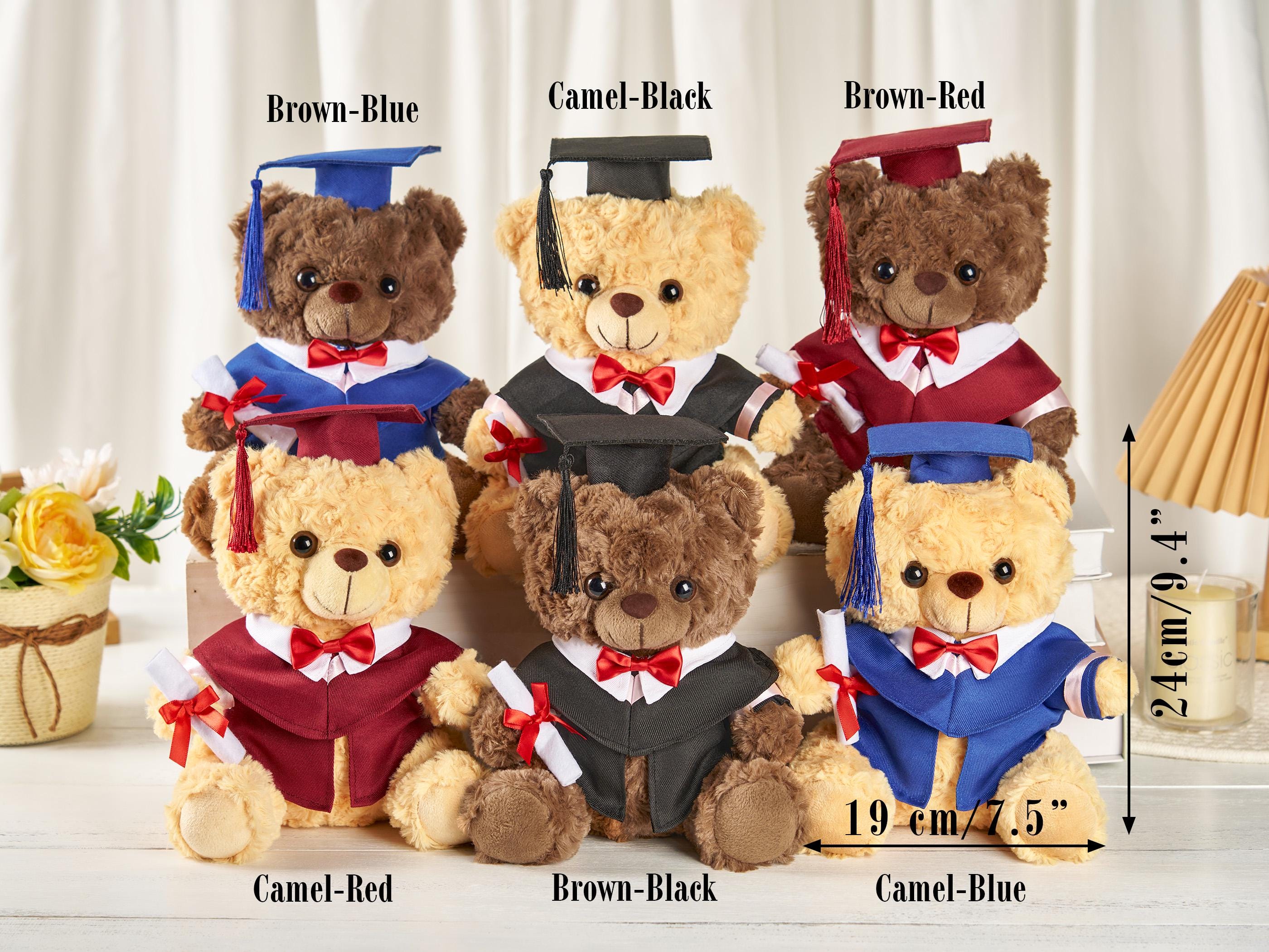 Personalized College Logo Graduation Bears,custom Grad Bear With Name ...