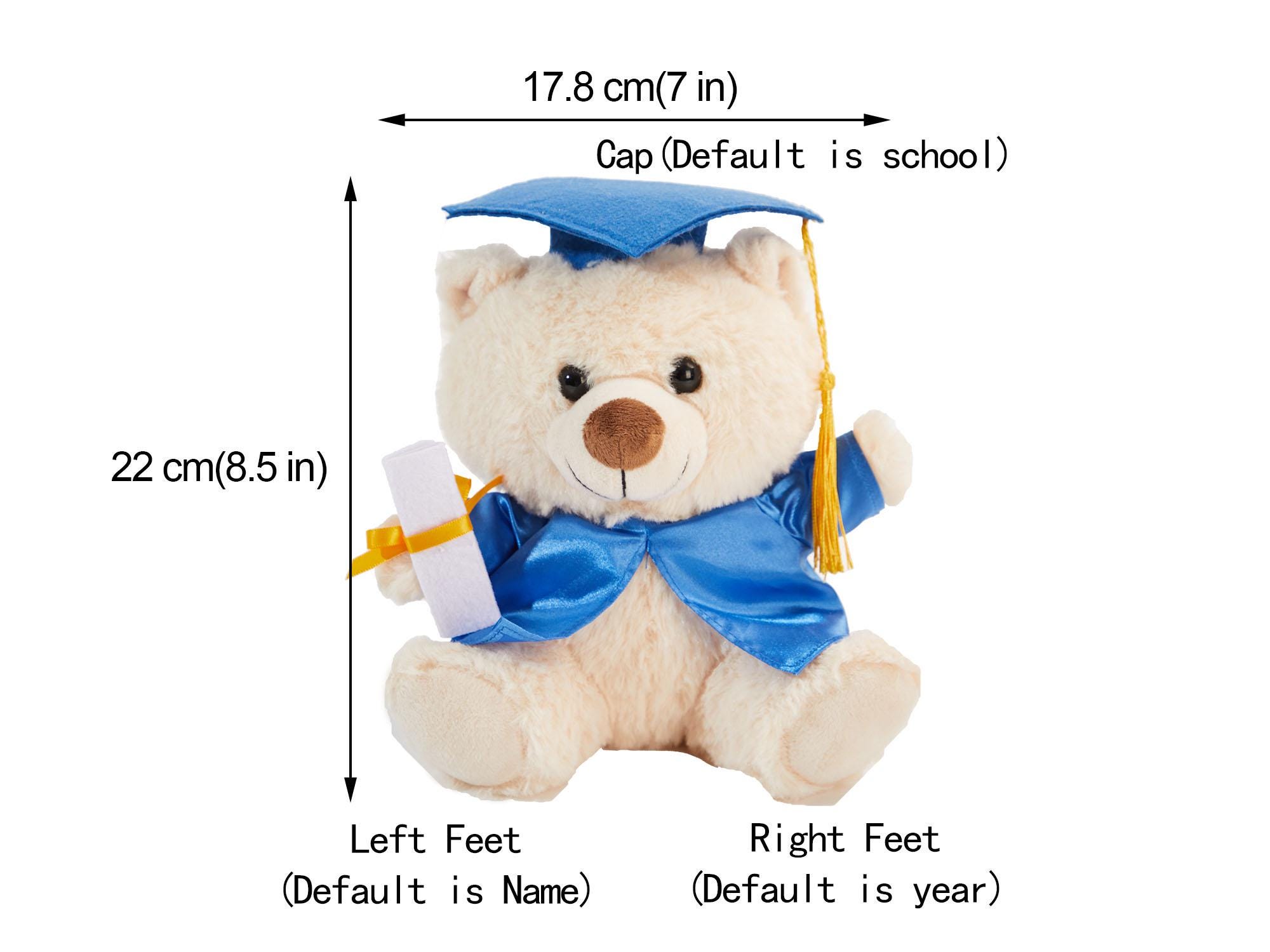 Custom Graduation Bear, Graduation 2025, Graduation Gifts, Graduation Keepsake, Gifts for Grads, Preschool Graduation, Grad Bear, Pre-k Grad
